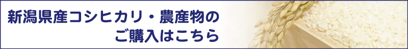 セキカワコシヒカリ販売