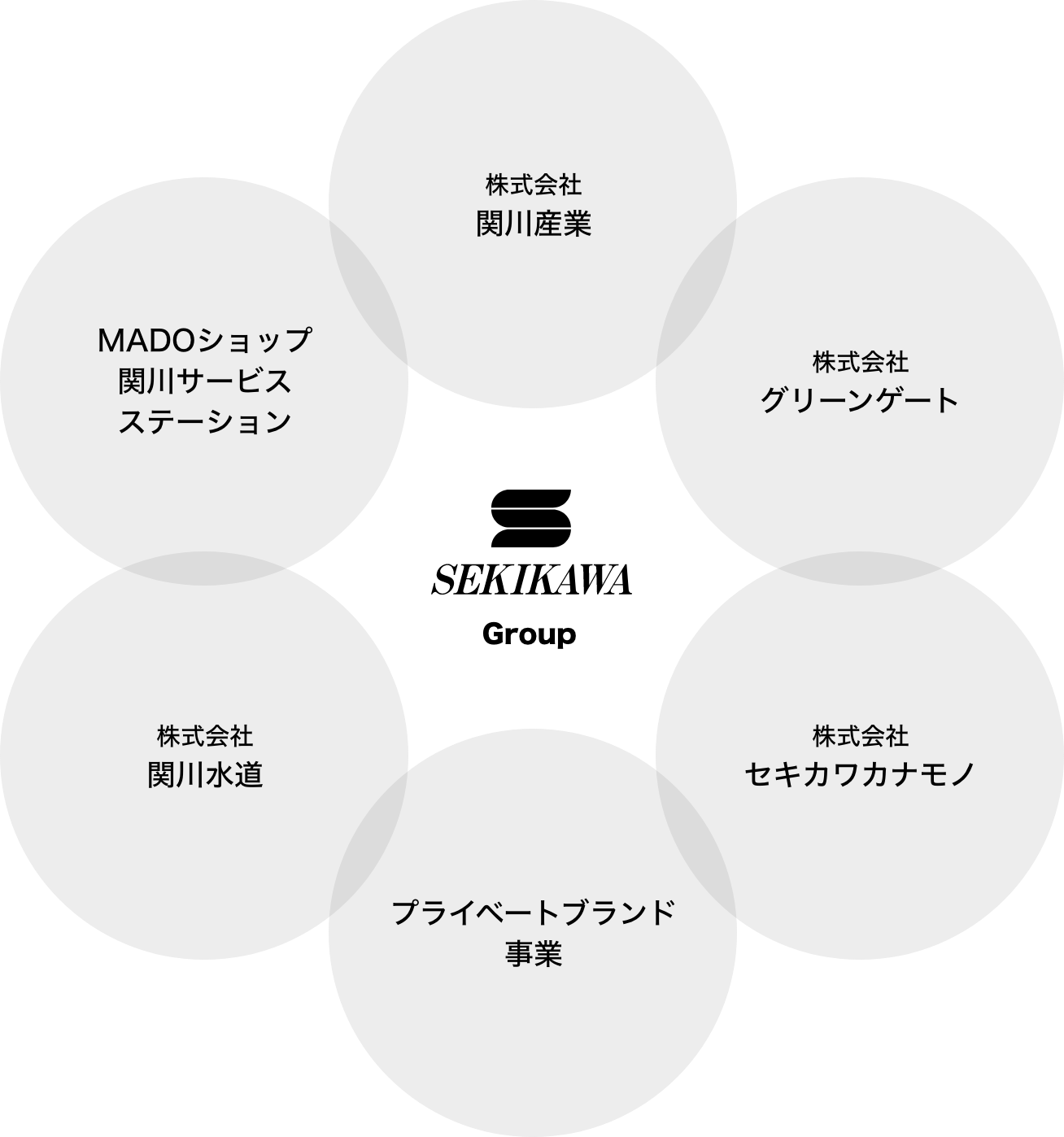 関川グループ経営方針図