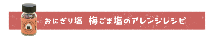 おにぎり弁当塩